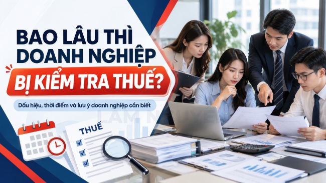 bao-lau-thi-doanh-nghiep-bi-kiem-tra-thue